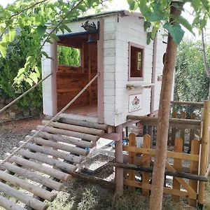 Gospodarstwo agroturystyczne Azienda Agrituristica Le Betulle, Riotorto